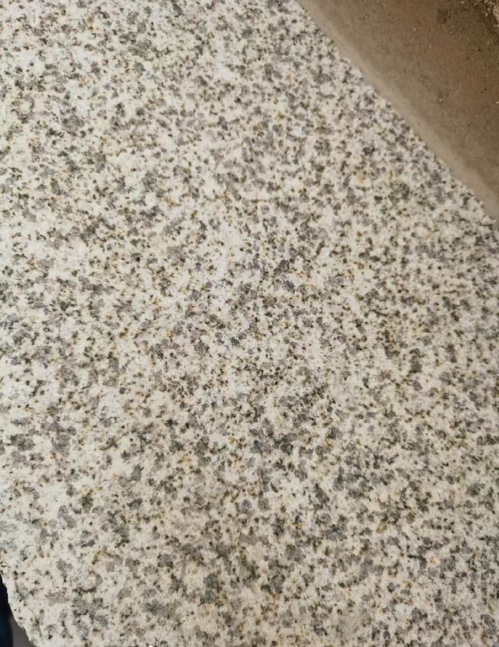 乐山 黄金麻中黄光面