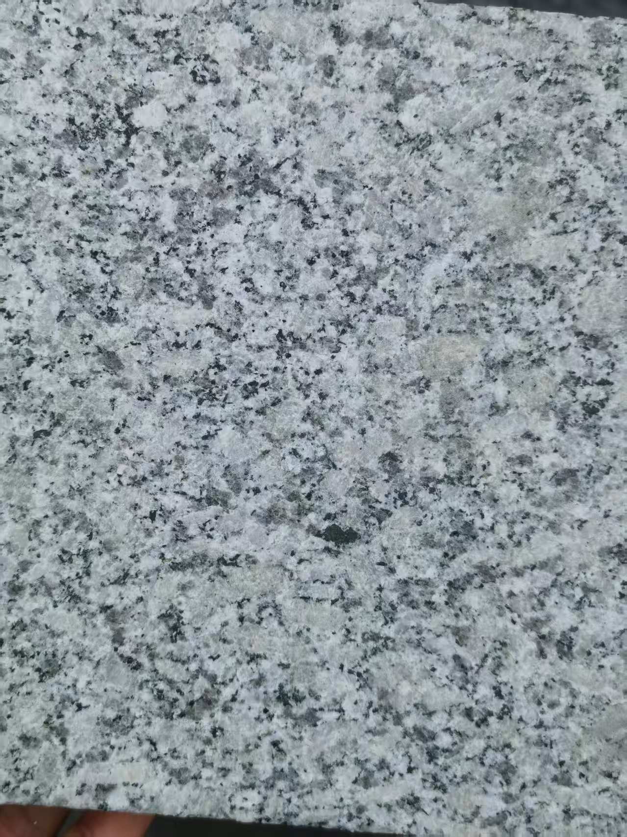 乐山 芙蓉白火烧面